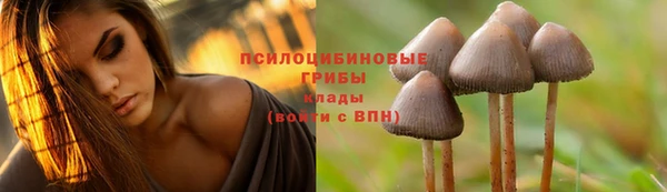 дурь Абдулино
