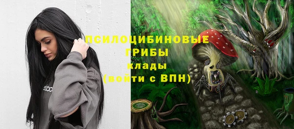 дурь Абдулино