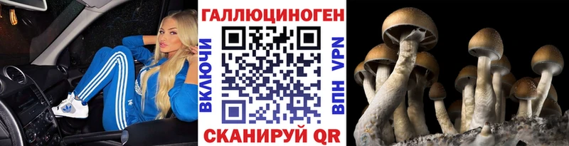 omg сайт Дербент Галлюциногенные грибы MAGIC MUSHROOMS